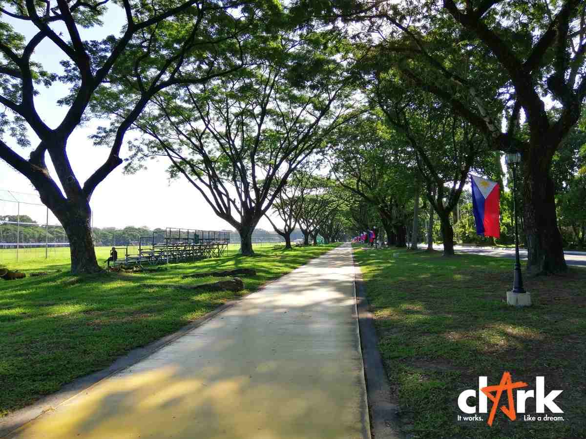 picnic in clark