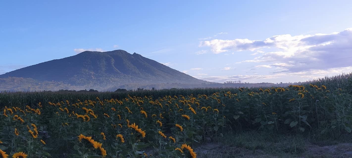 Arayat